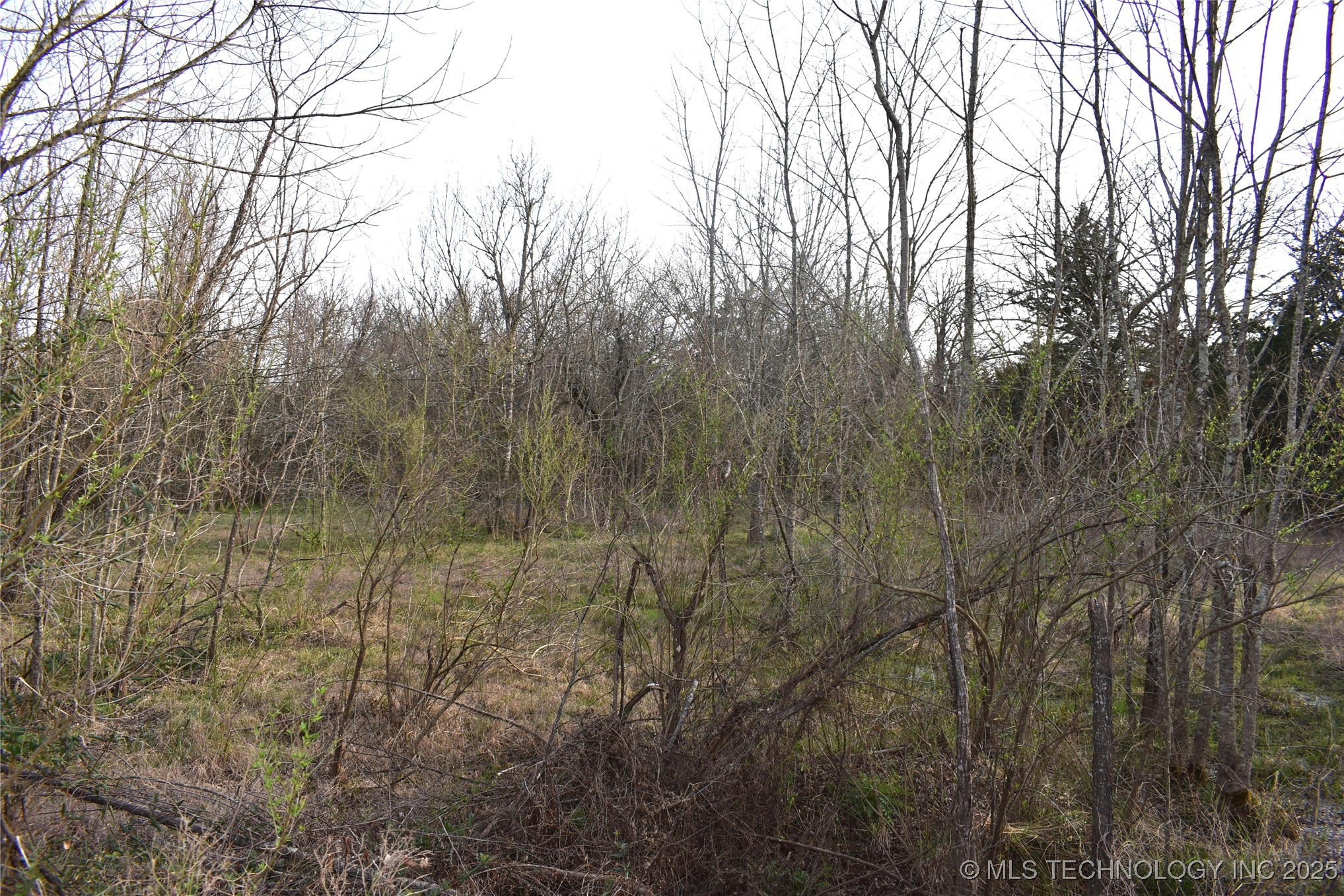 1 Sweet Gum Drive Property Photo 10