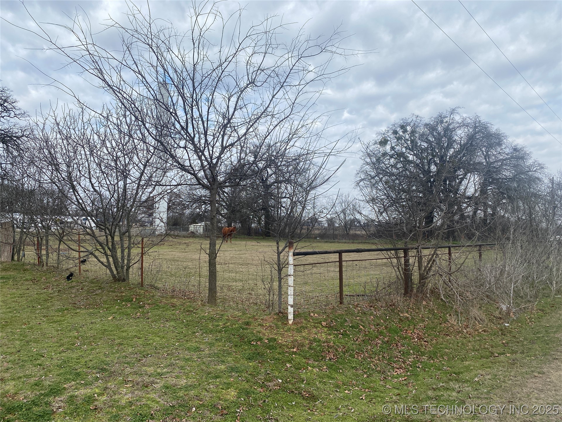 0 Mary Street Property Photo 2