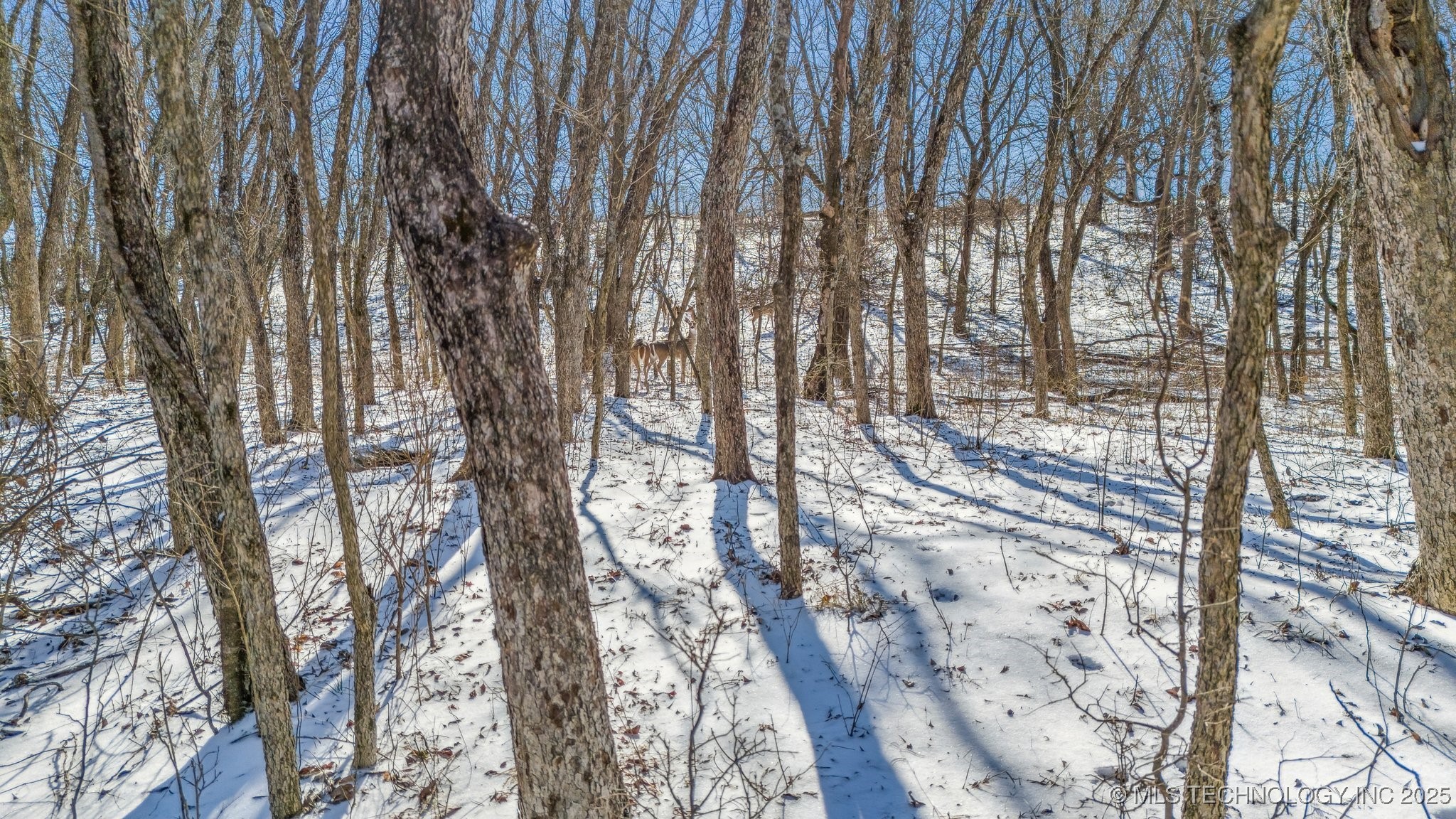 9501 S 4170 Road Property Photo 36