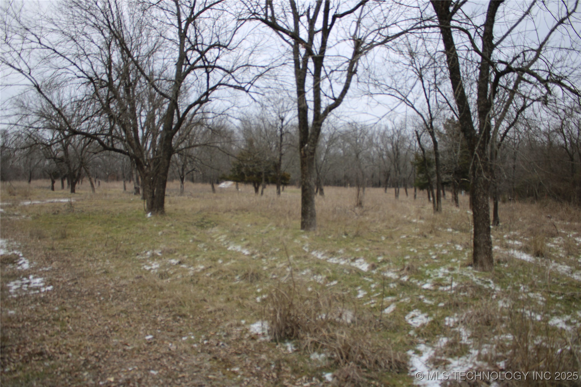 12599 S Old Hwy 169 Property Photo 15