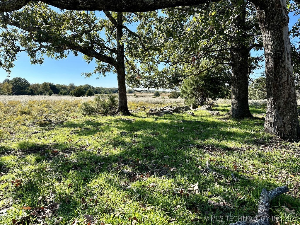 Russellville Road Property Photo 14