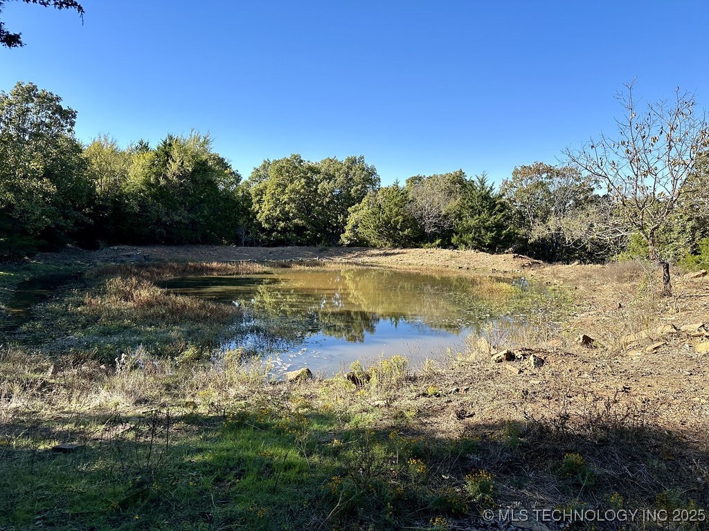 Russellville Road Property Photo 15