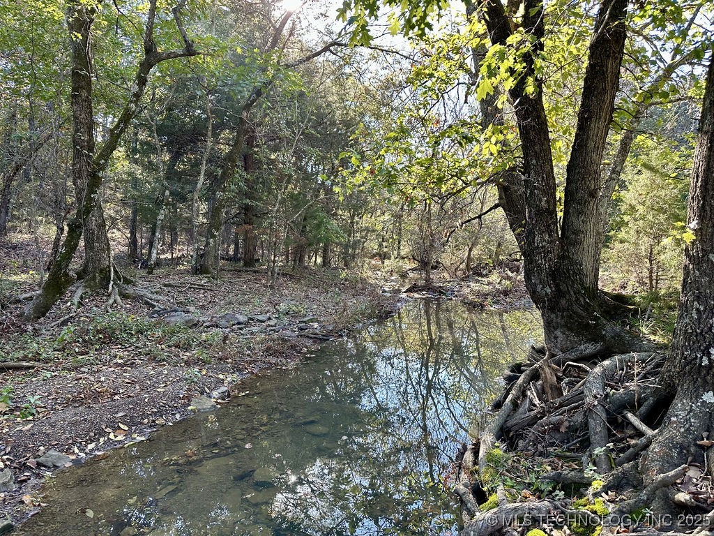 Russellville Road Property Photo 19