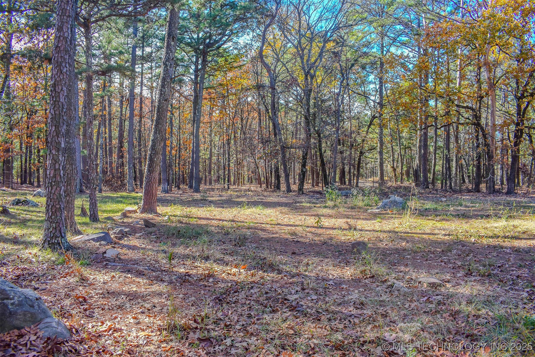 182199 Big Mountain Road D Property Photo 31