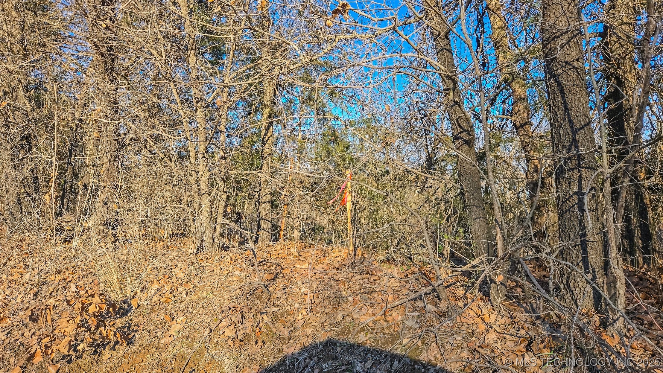 2 4180 Road Property Photo 30
