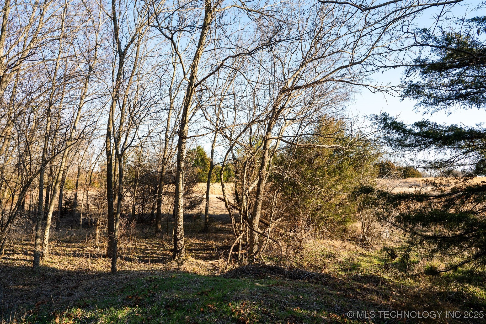 1 E 161st Street Property Photo 8