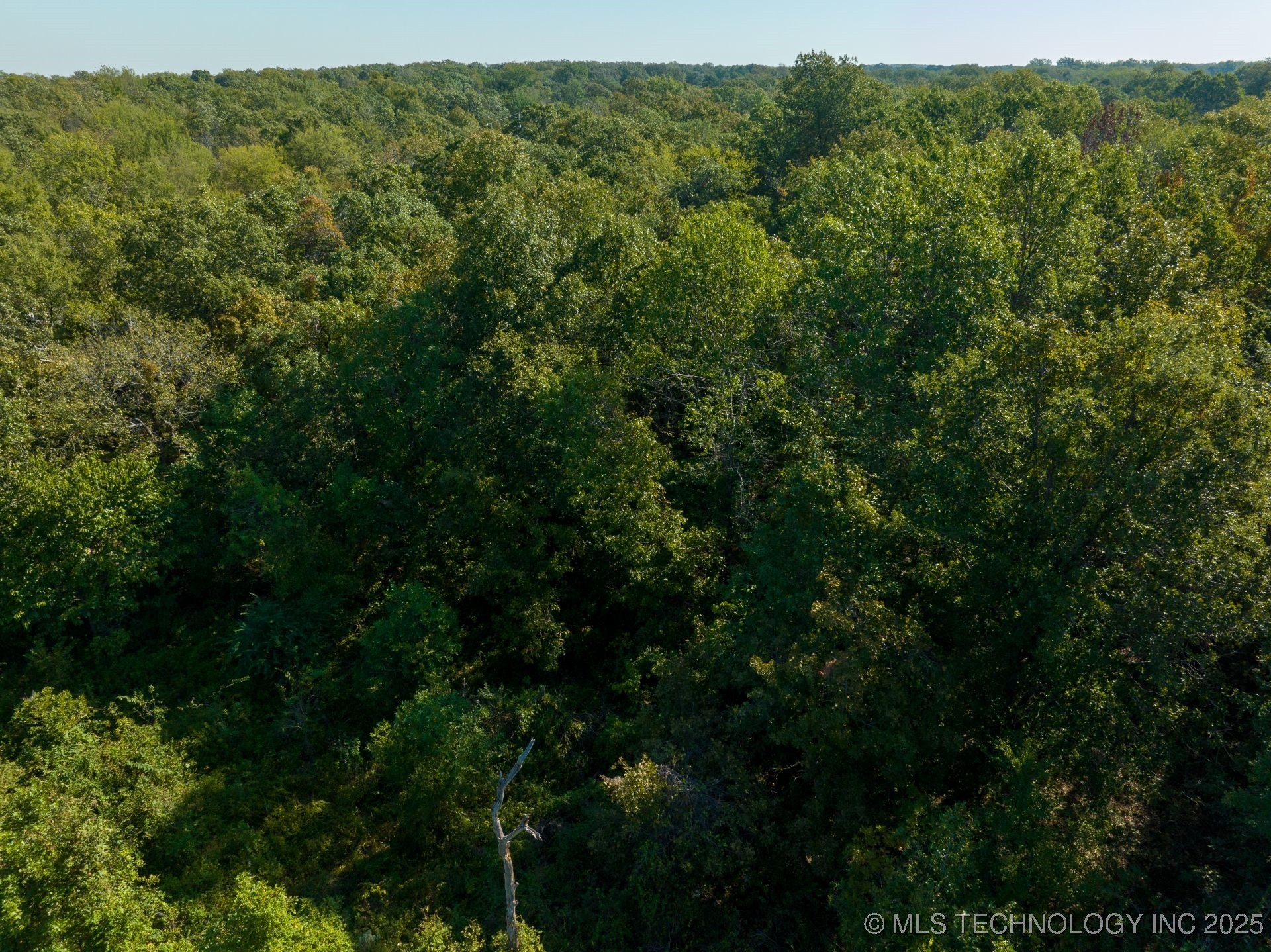 Twin Hills Road Property Photo 7