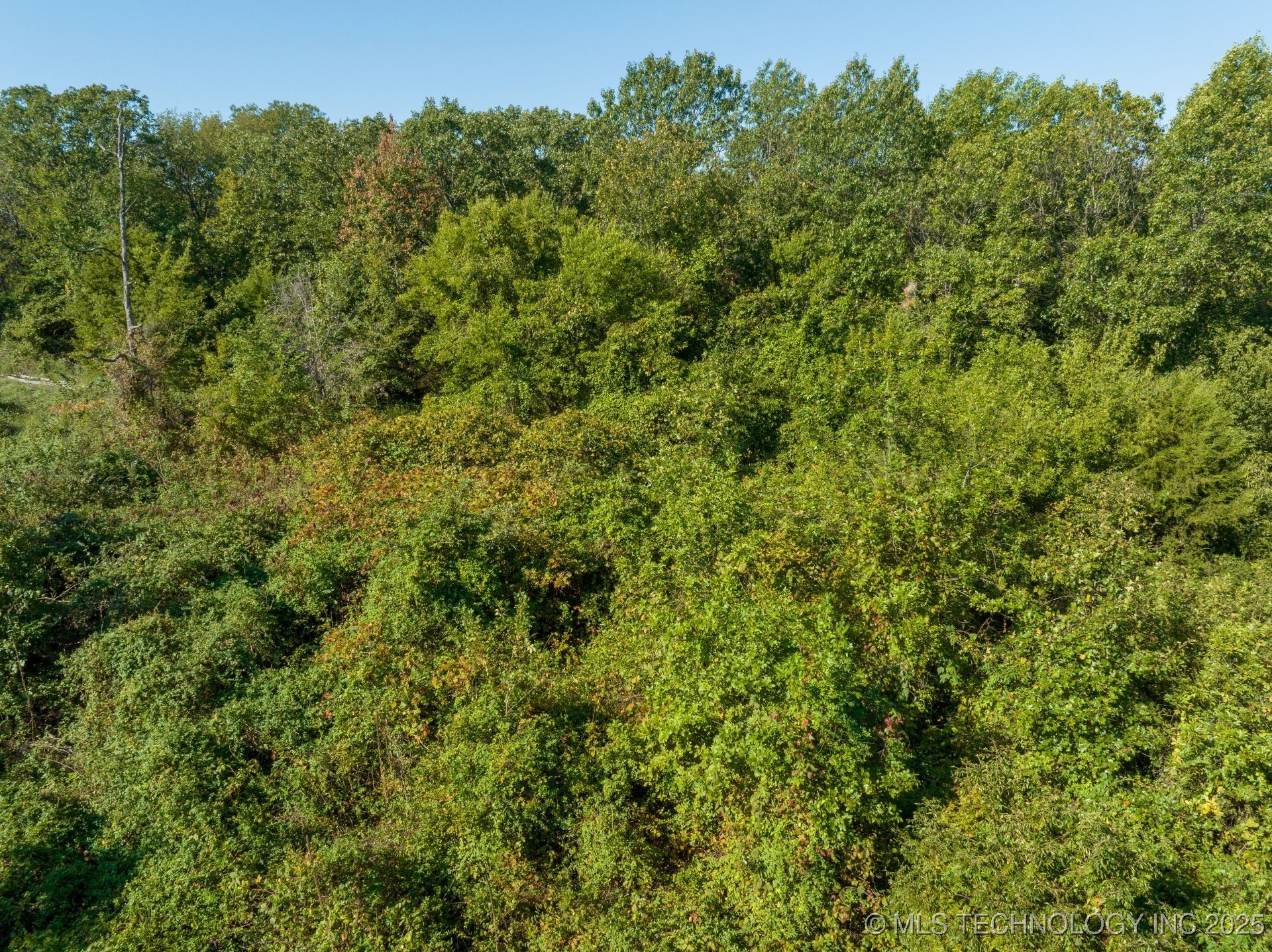 Twin Hills Road Property Photo 8