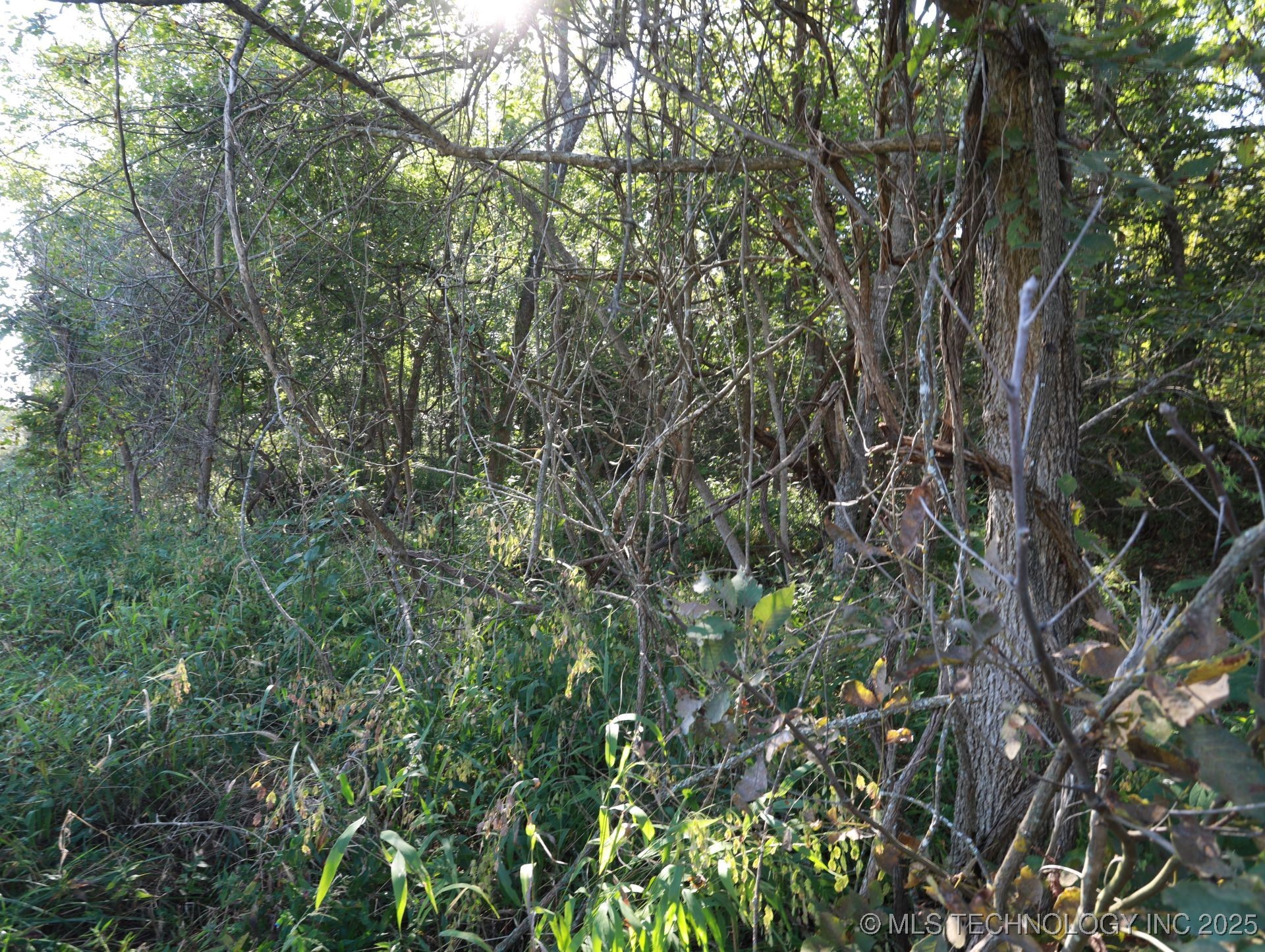 Twin Hills Road Property Photo 19