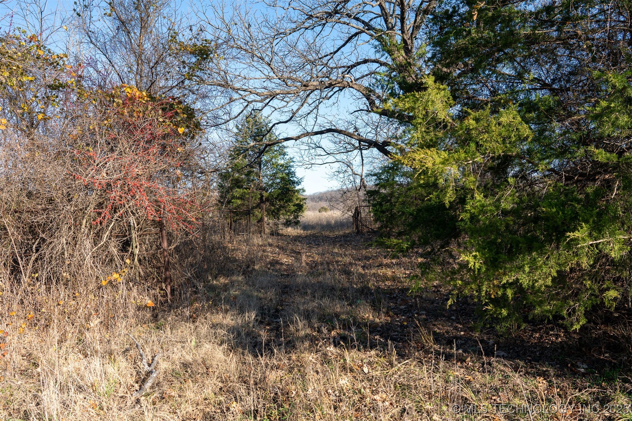 8960 S 438 Property Photo 41