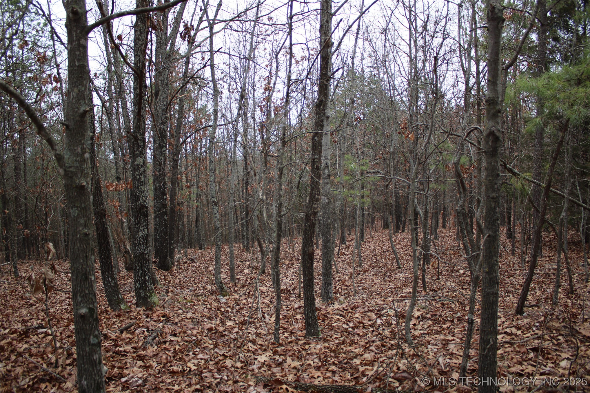0000 E 881 Road Property Photo 20