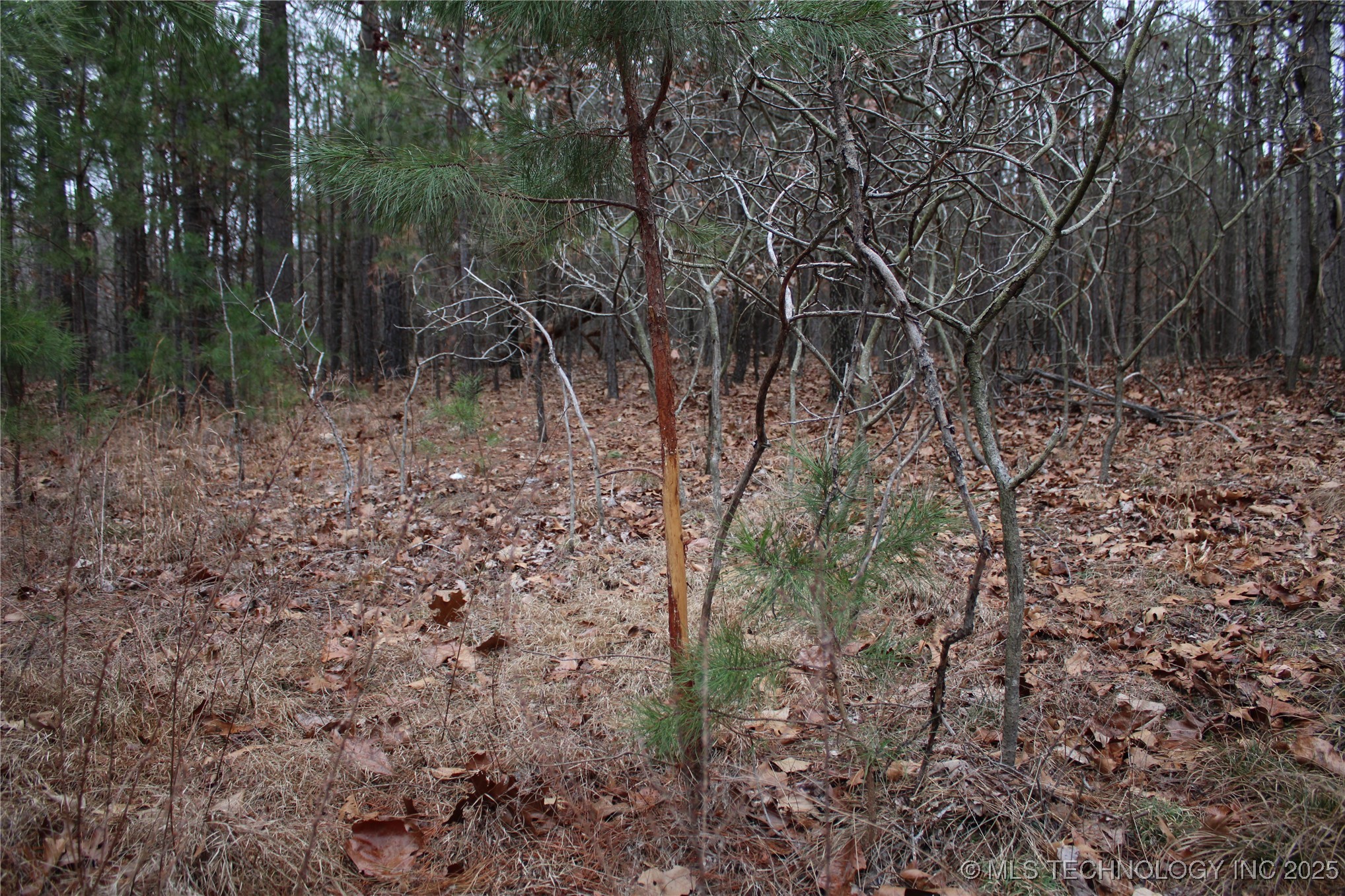 0000 E 881 Road Property Photo 28