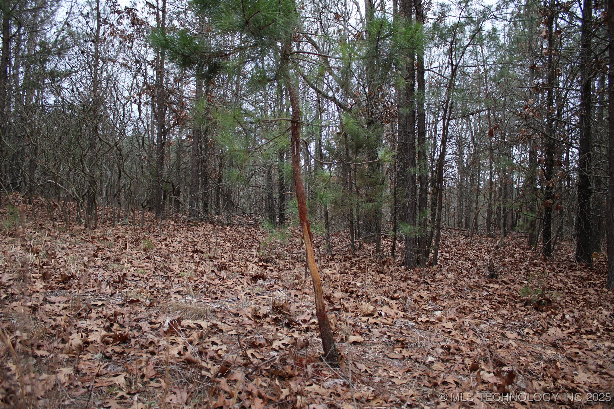 0000 E 881 Road Property Photo 29