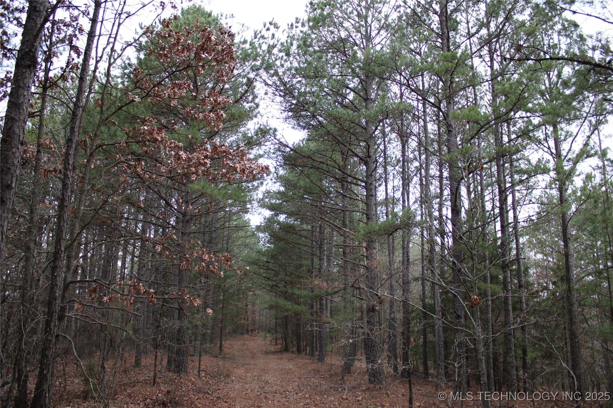 0000 E 881 Road Property Photo 31