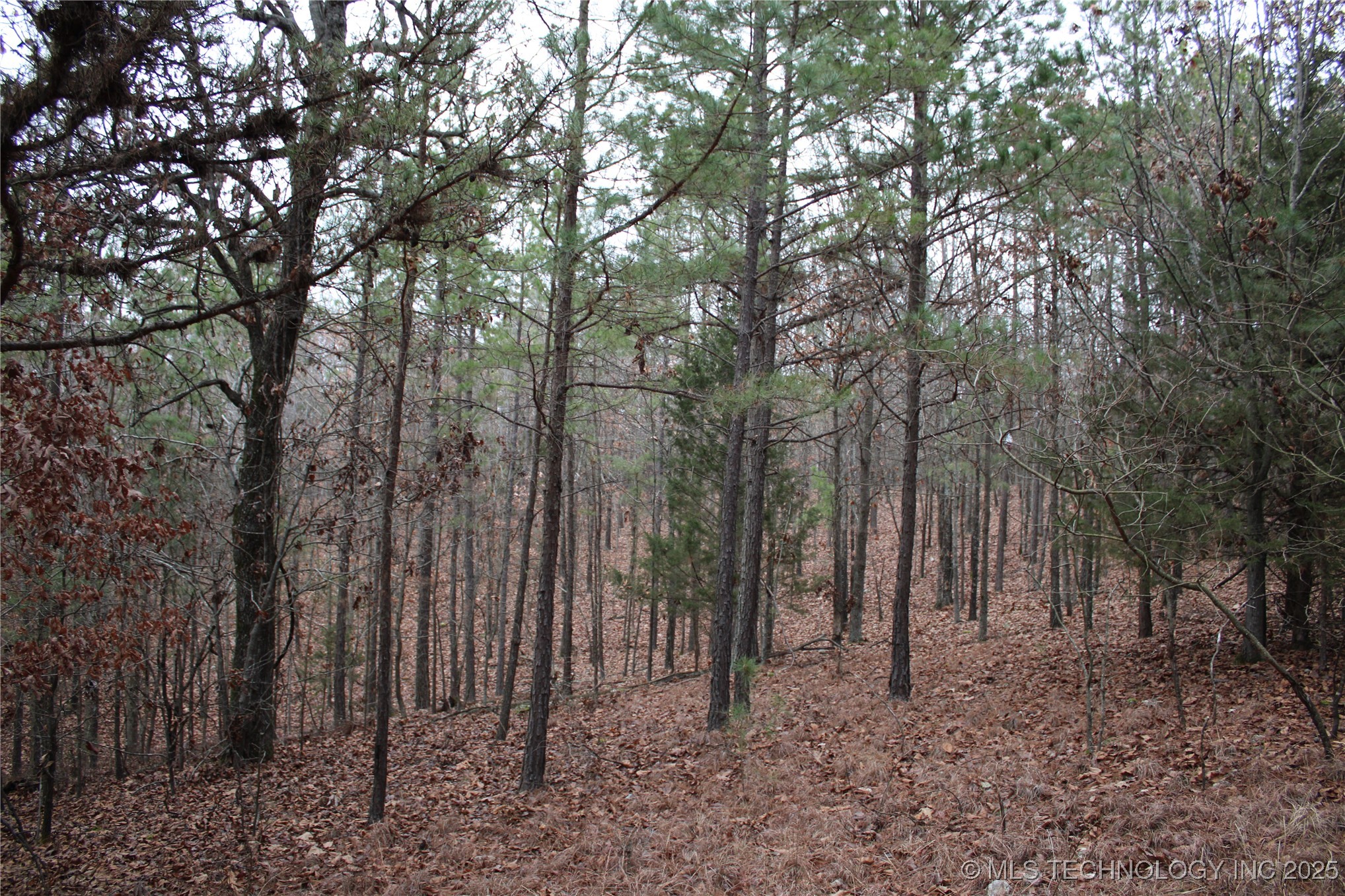 0000 E 881 Road Property Photo 34