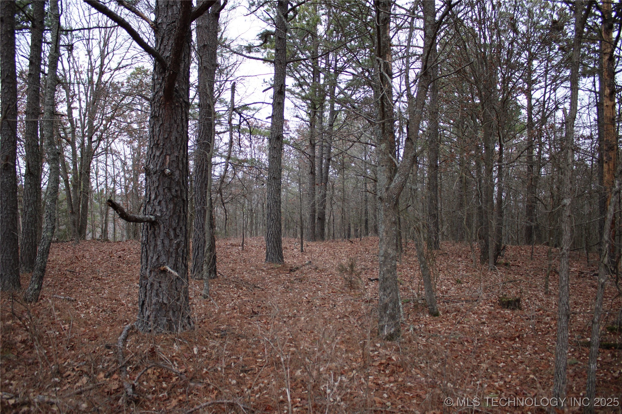 0000 E 881 Road Property Photo 36