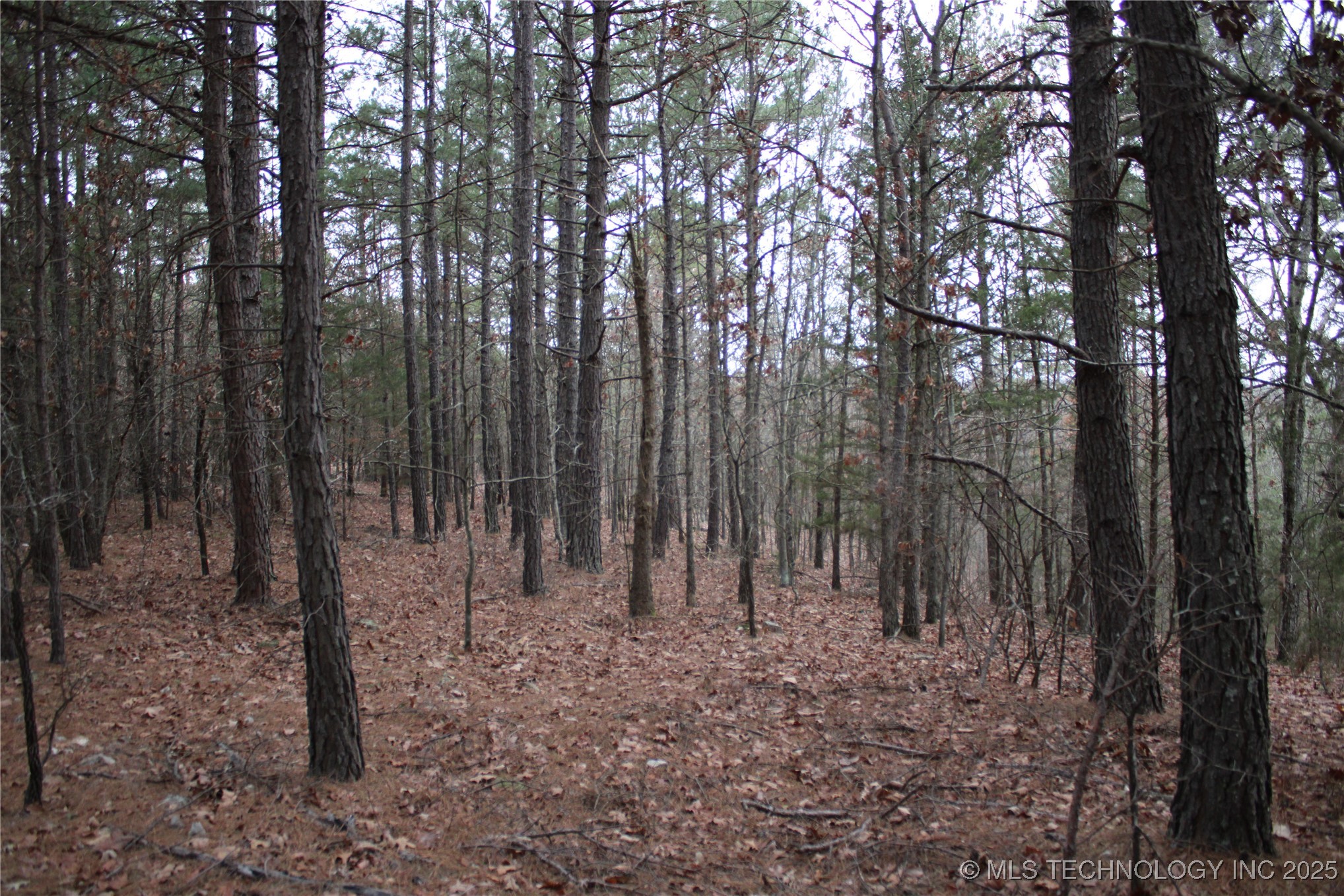 0000 E 881 Road Property Photo 39
