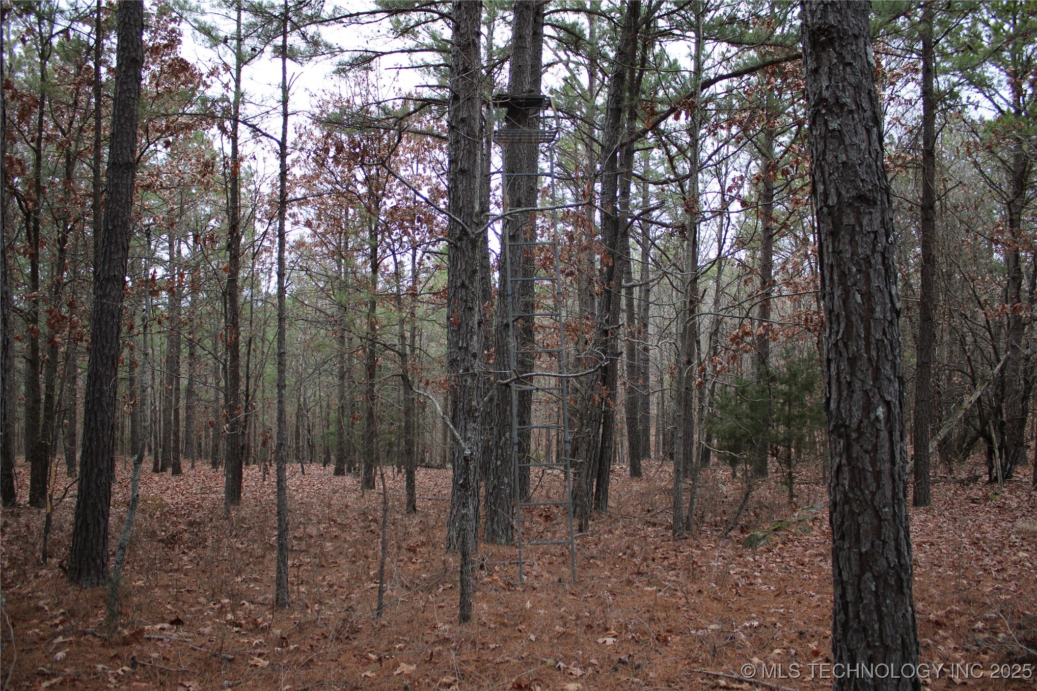 0000 E 881 Road Property Photo 44