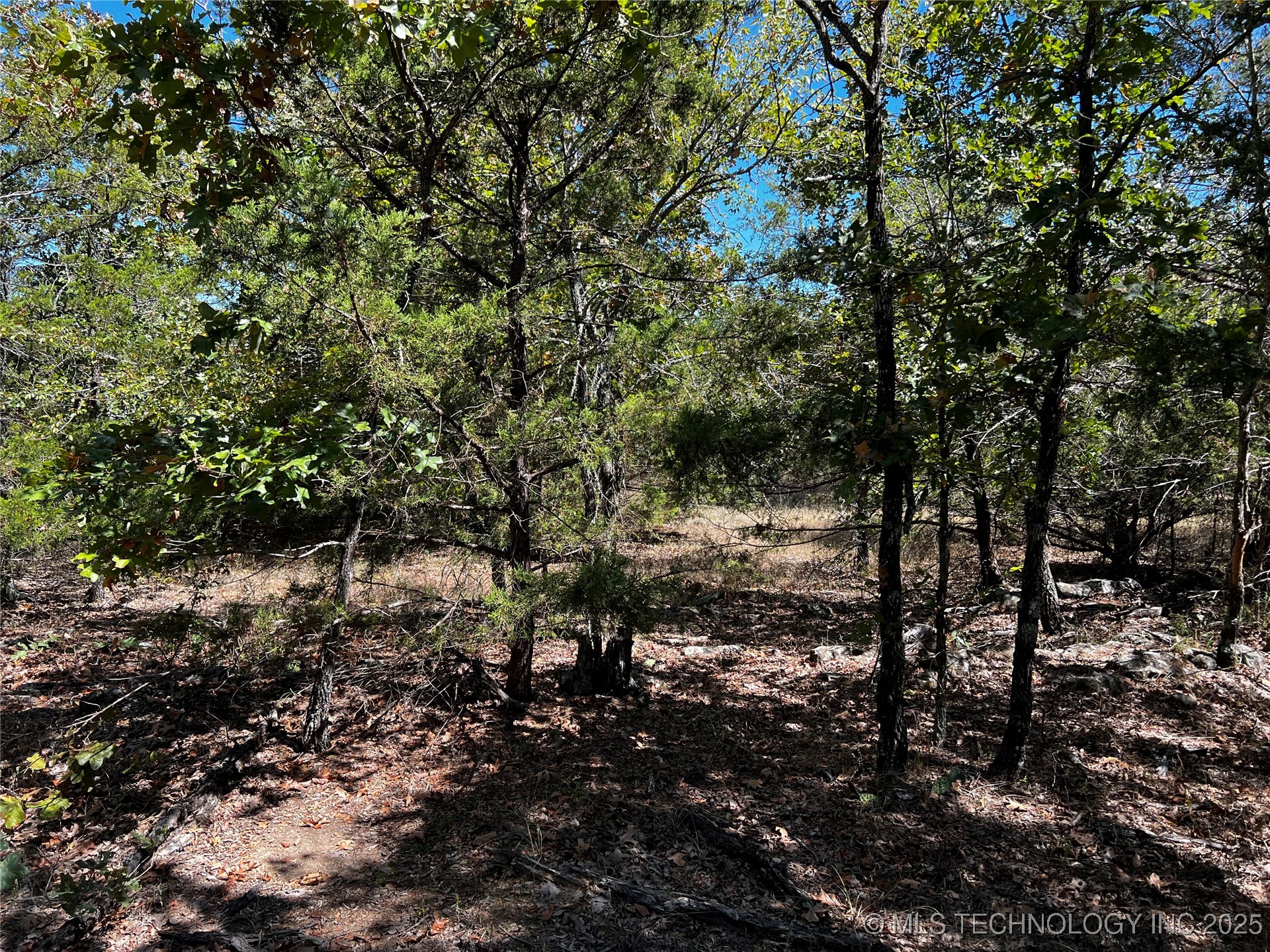 Rocky Point Property Photo