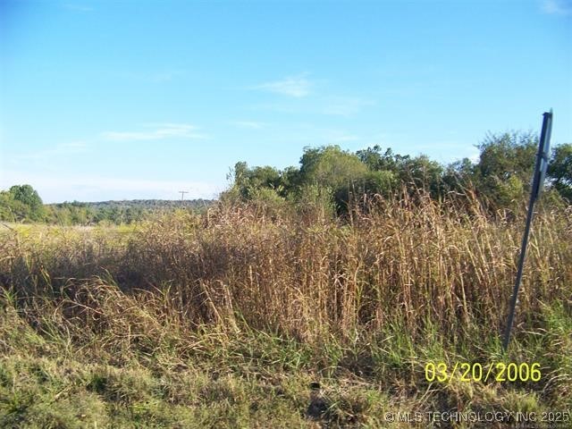 12401 Celia Berryhill Road Property Photo 2