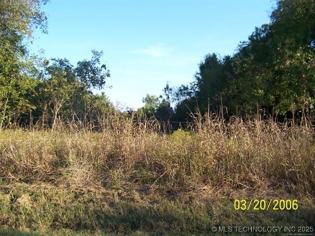12401 Celia Berryhill Road Property Photo 3