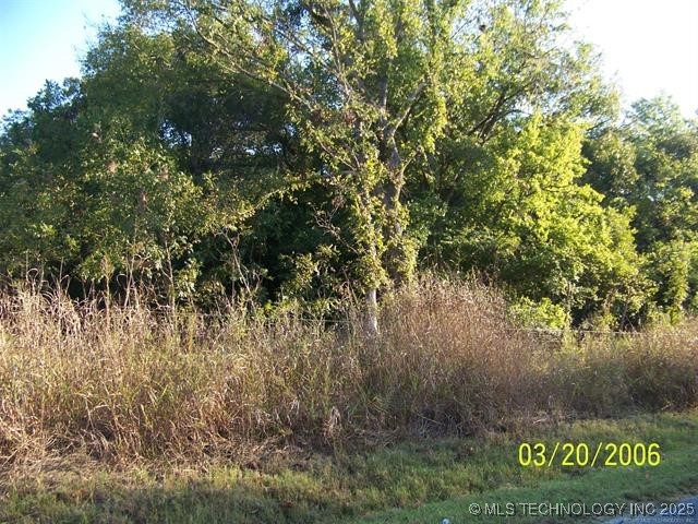 12401 Celia Berryhill Road Property Photo 4