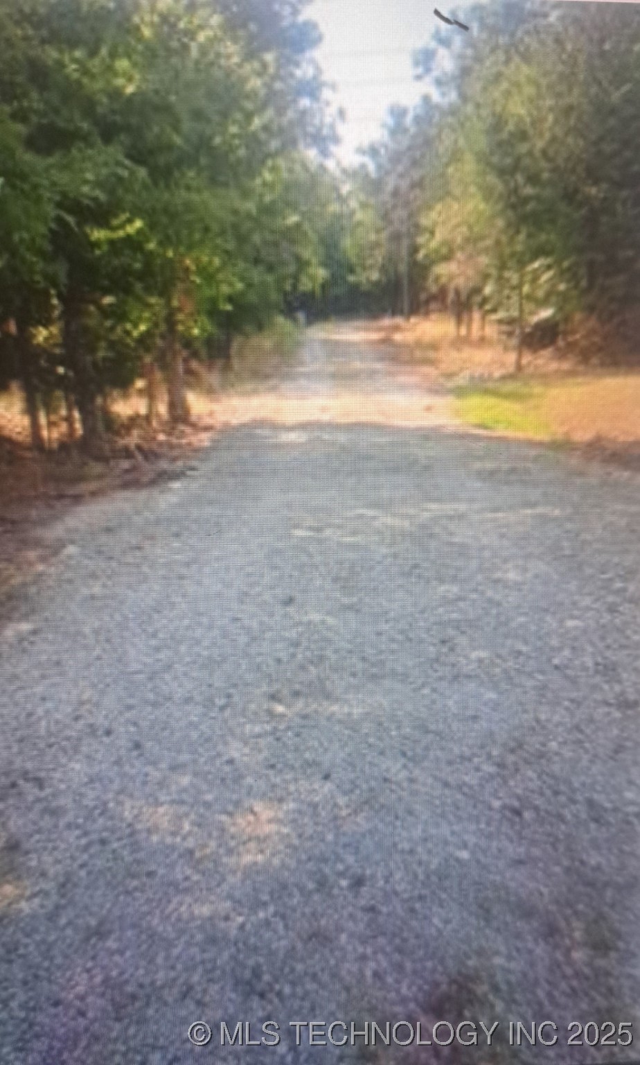 909 Buds Point Road Property Photo 2