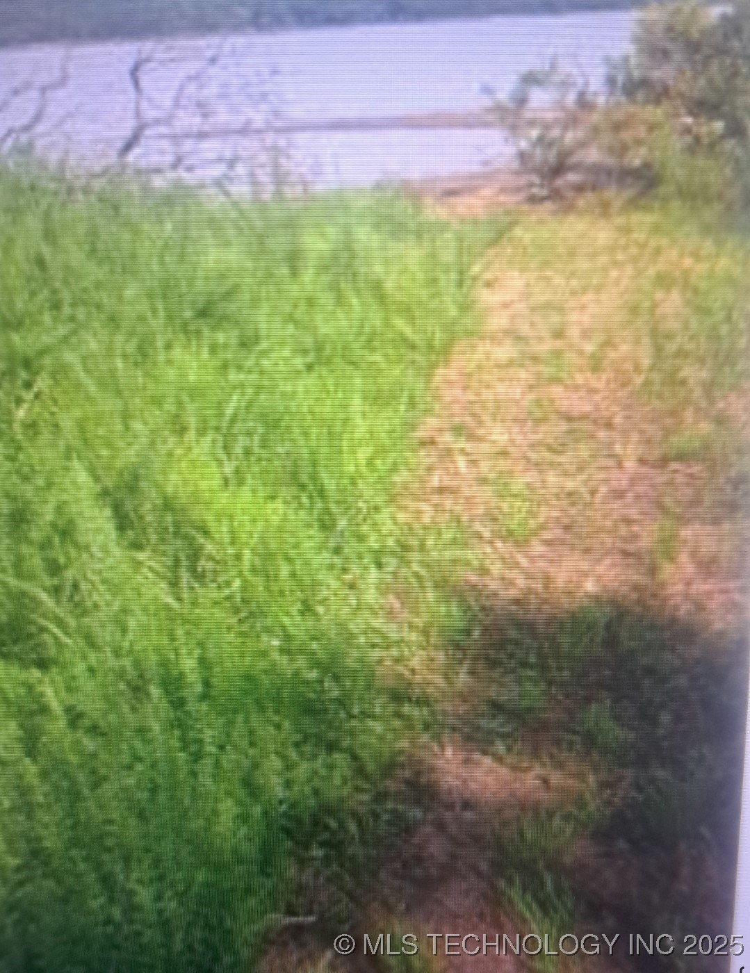 909 Buds Point Road Property Photo 12