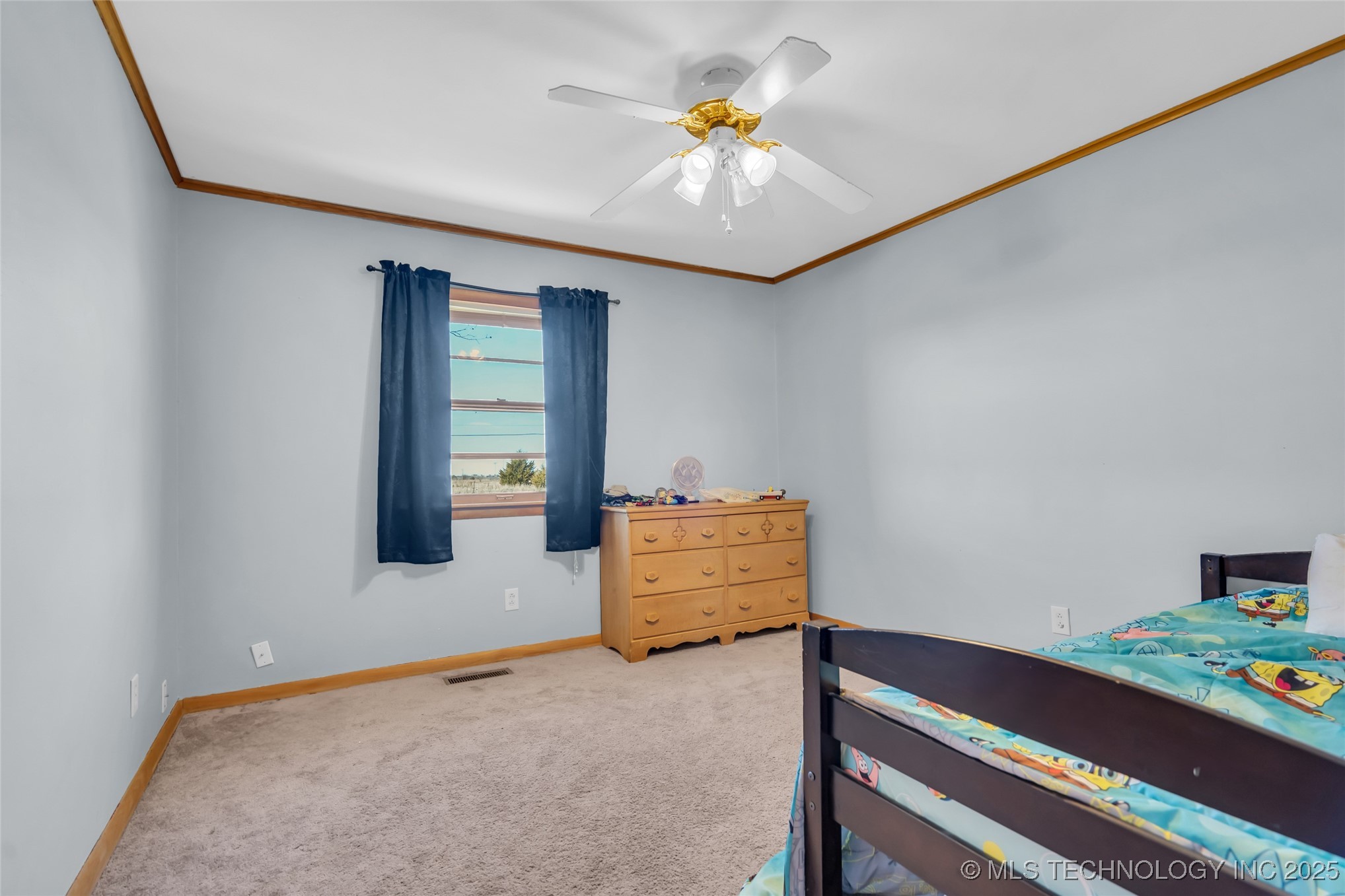 1103 State Highway 89 Property Photo 15