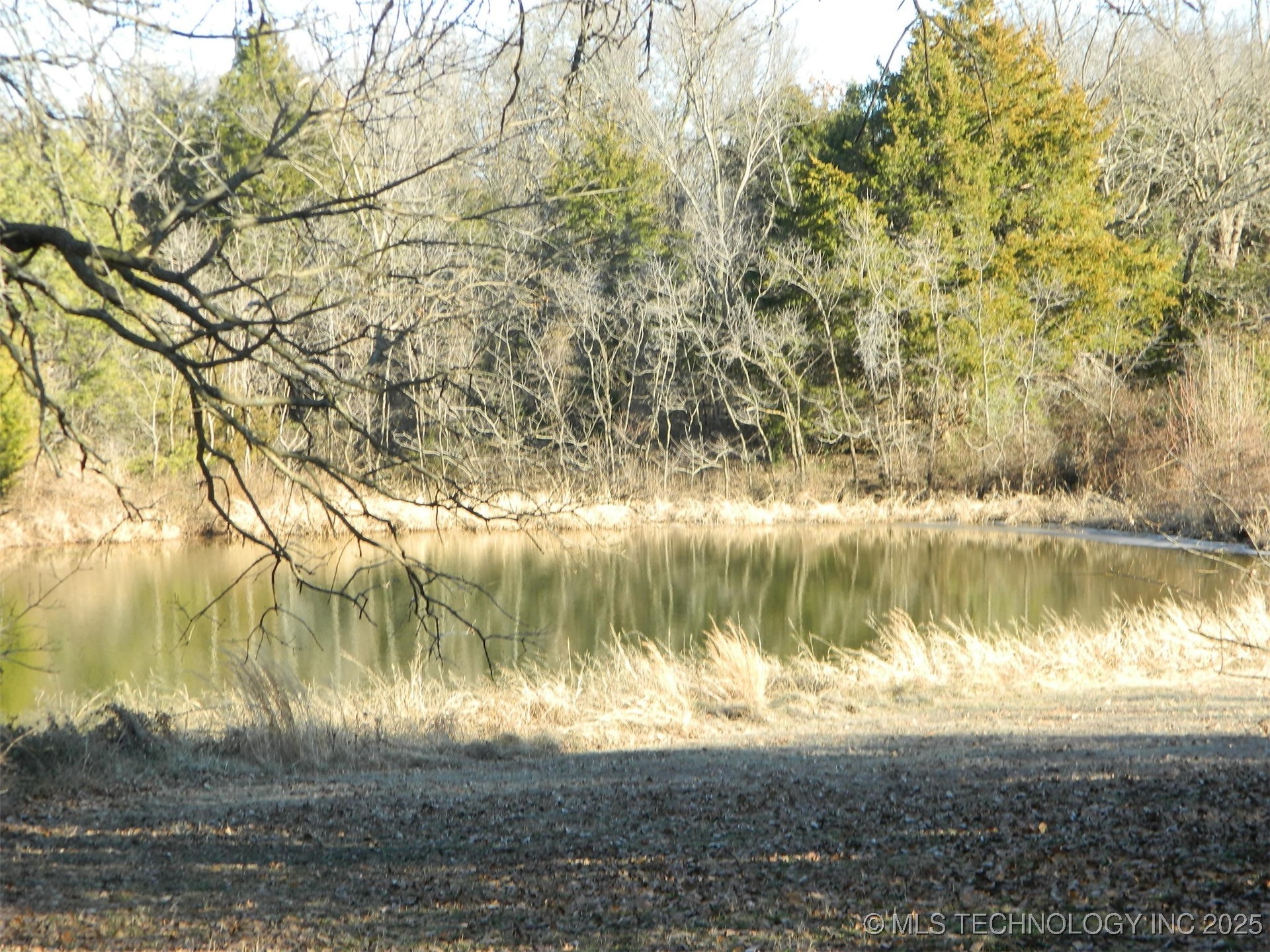 894 Chickasaw Road Property Photo 12