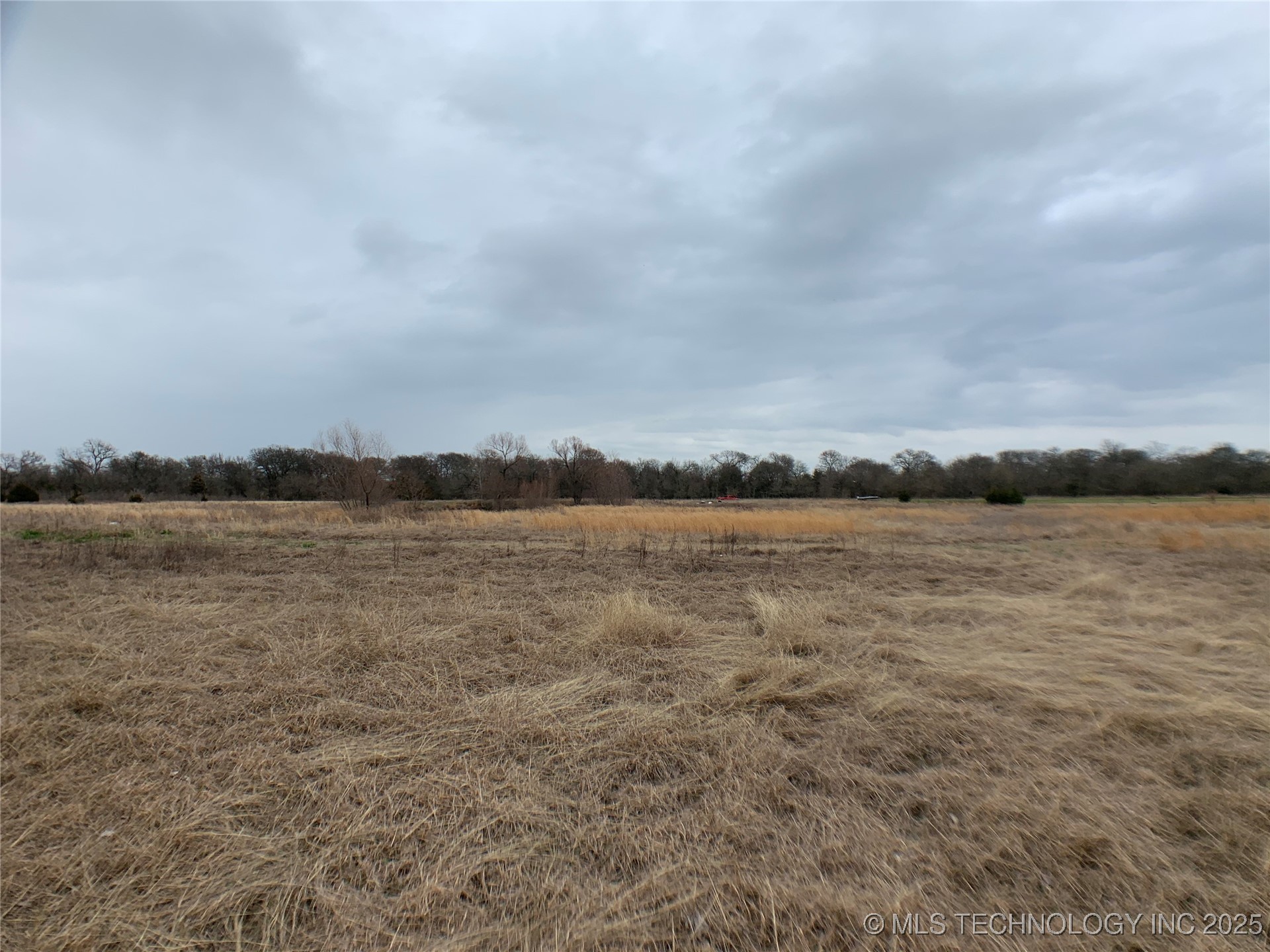 11726 Sandy Acres Trail Property Photo 37