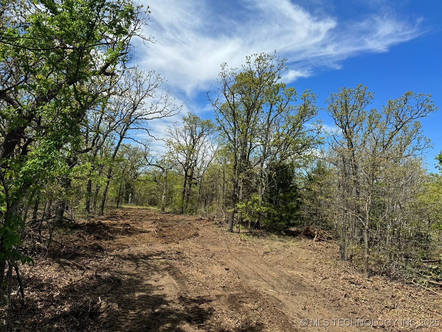 3 W Cedar Lane Property Photo 18
