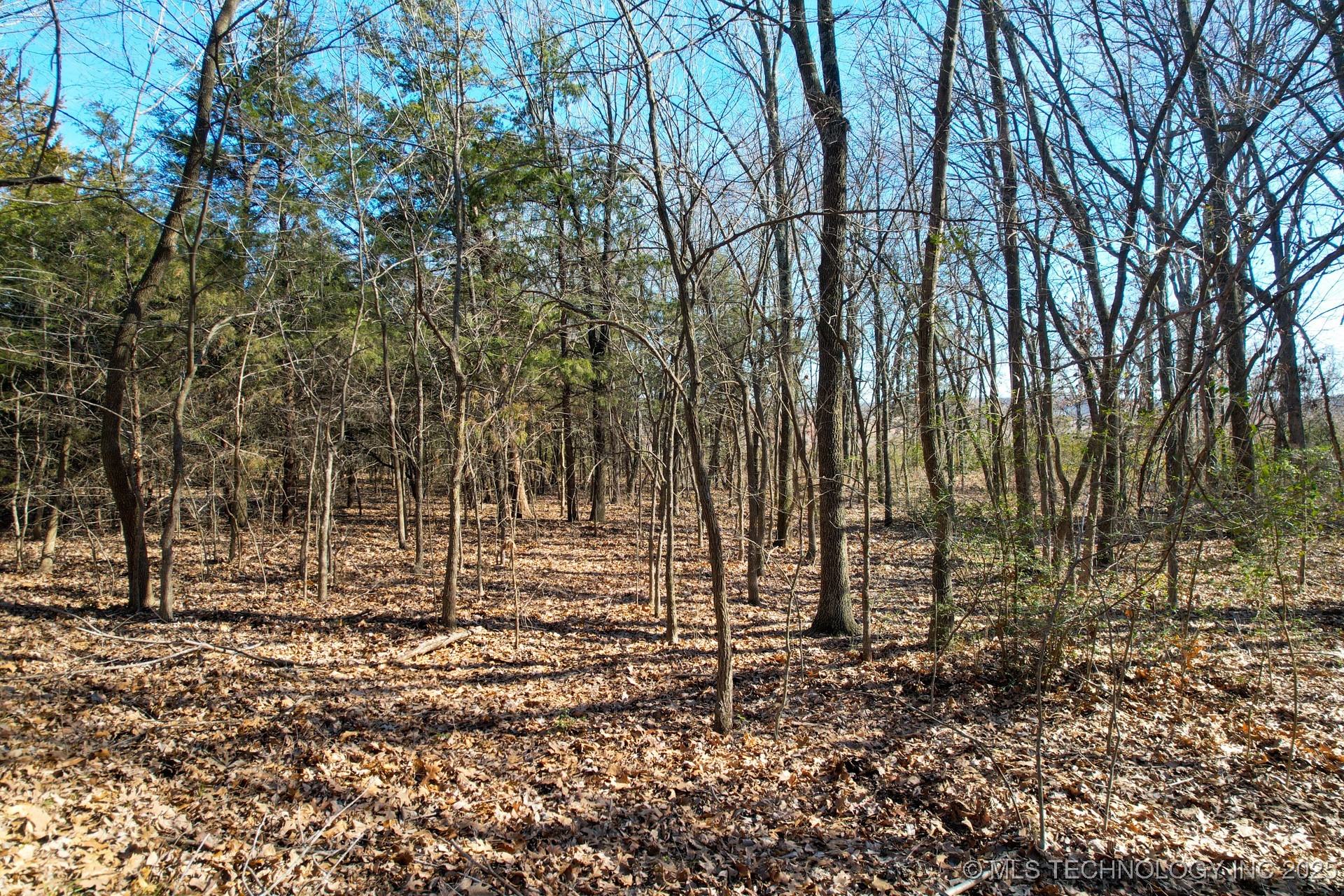 6 Hwy 9 Property Photo 11