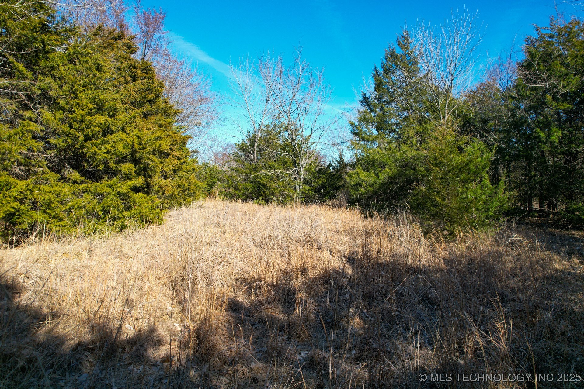 6 Hwy 9 Property Photo 12