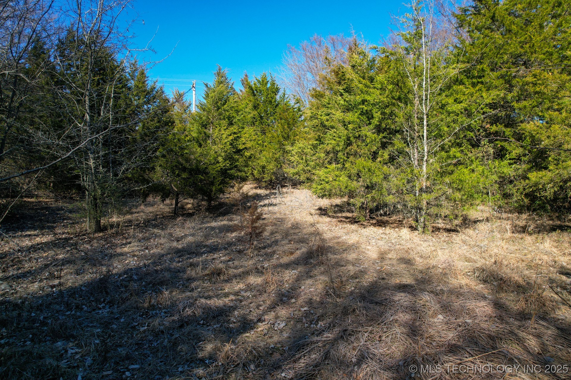 6 Hwy 9 Property Photo 16
