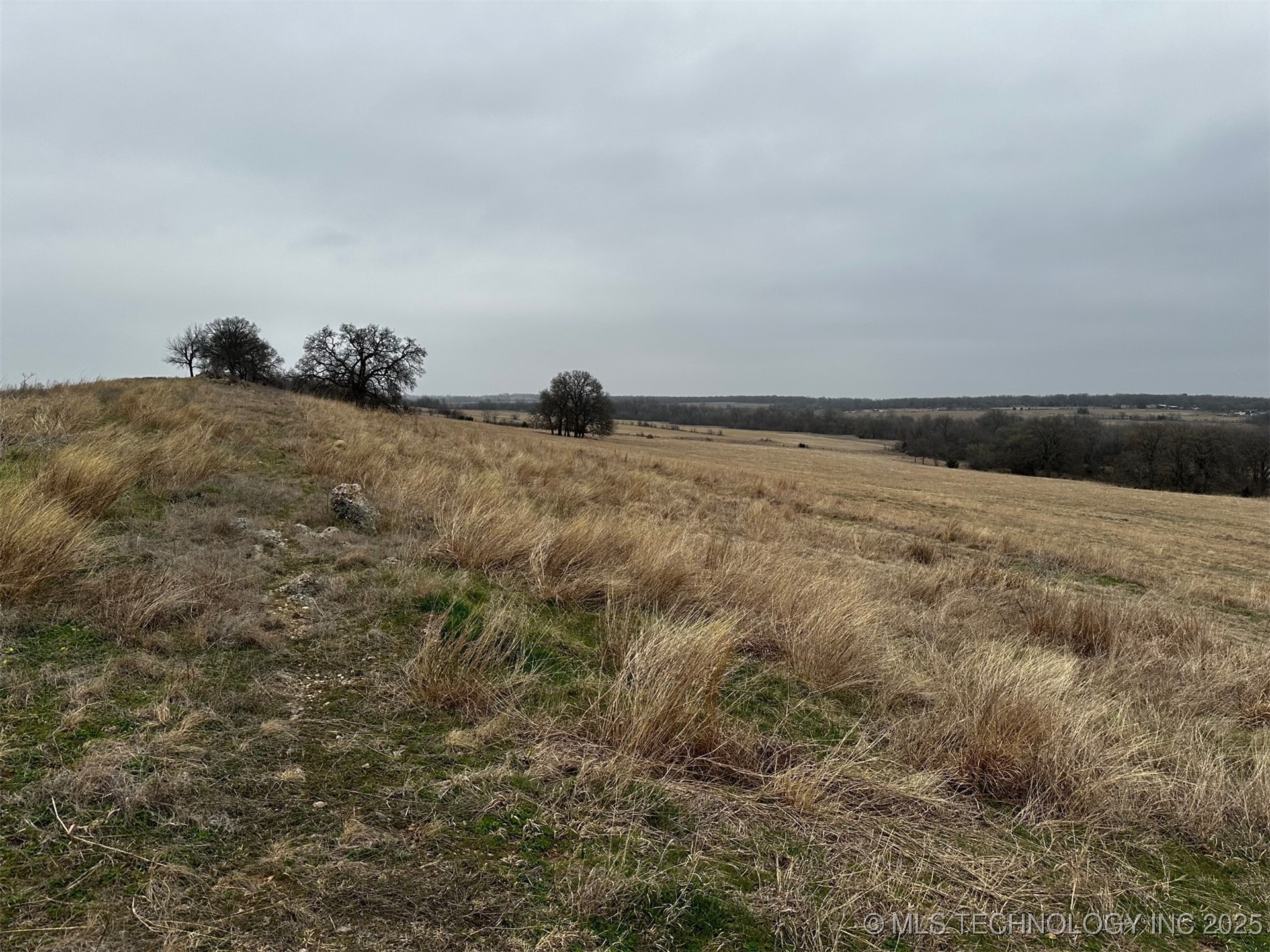 005 Cisco Road Property Photo 4