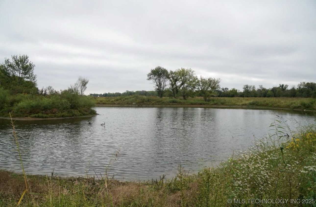 16100 Ash Road Property Photo 6