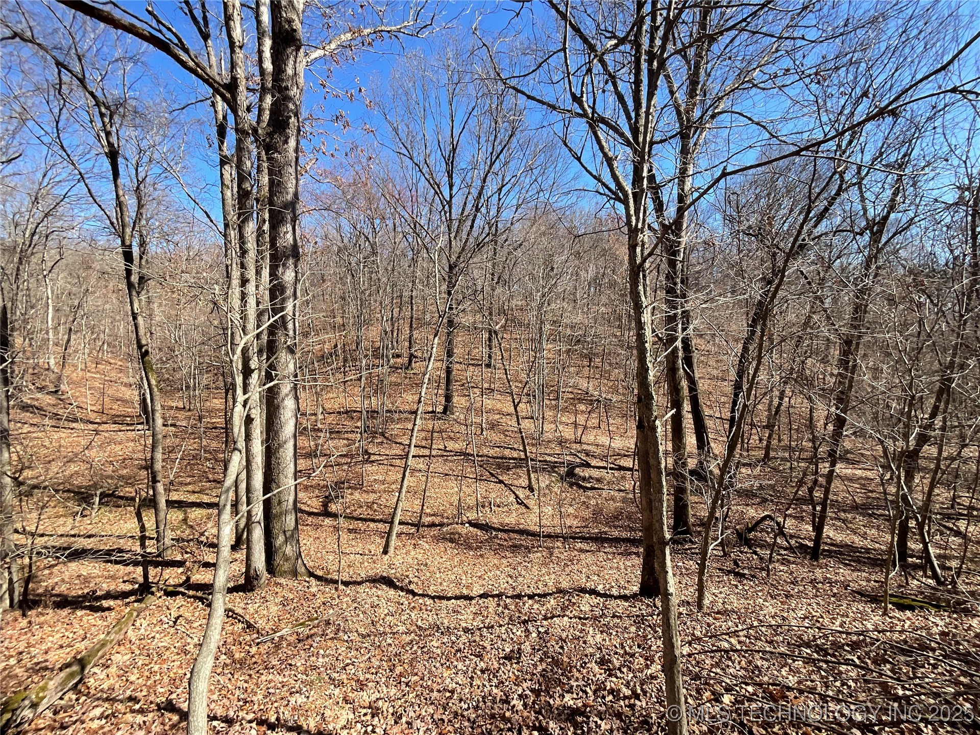 4595 Road Property Photo 2