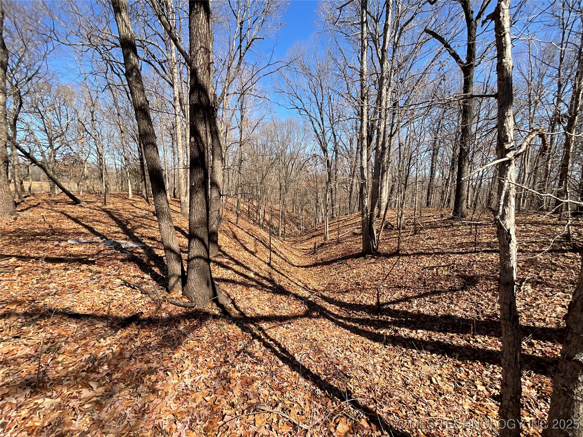 4595 Road Property Photo 6