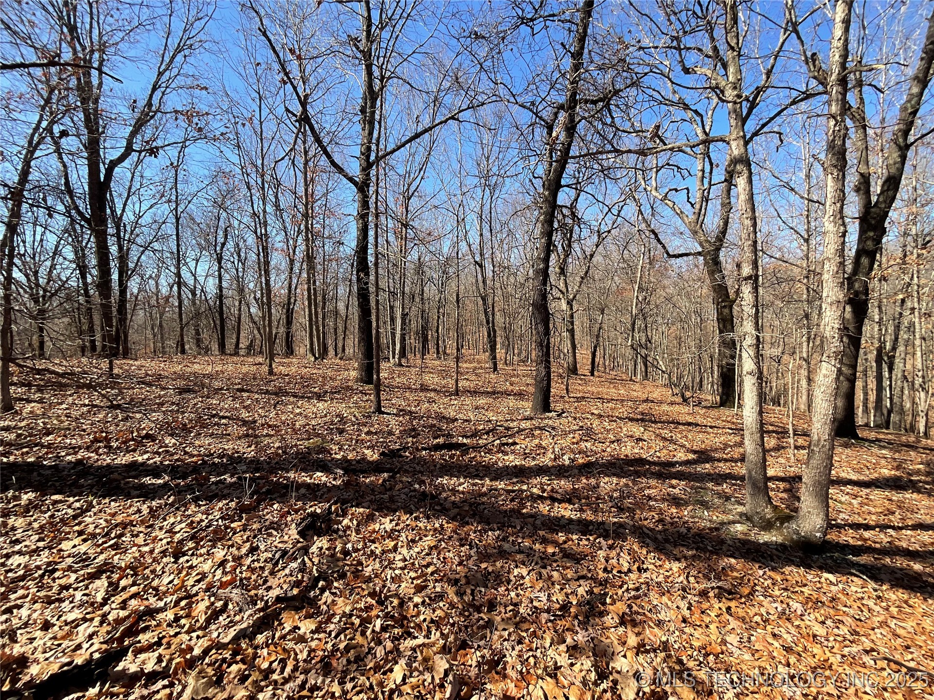 4595 Road Property Photo 7