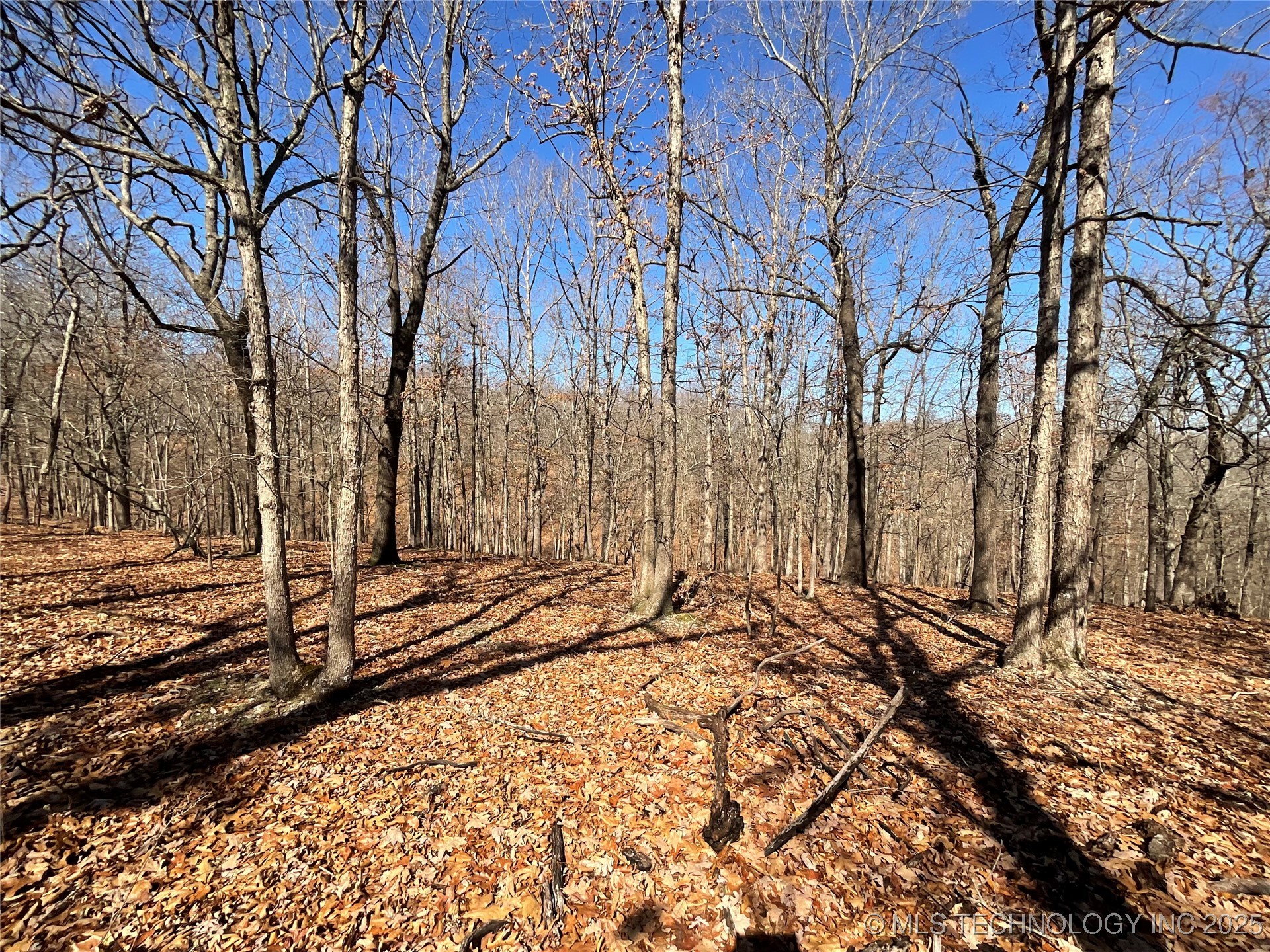 4595 Road Property Photo 8