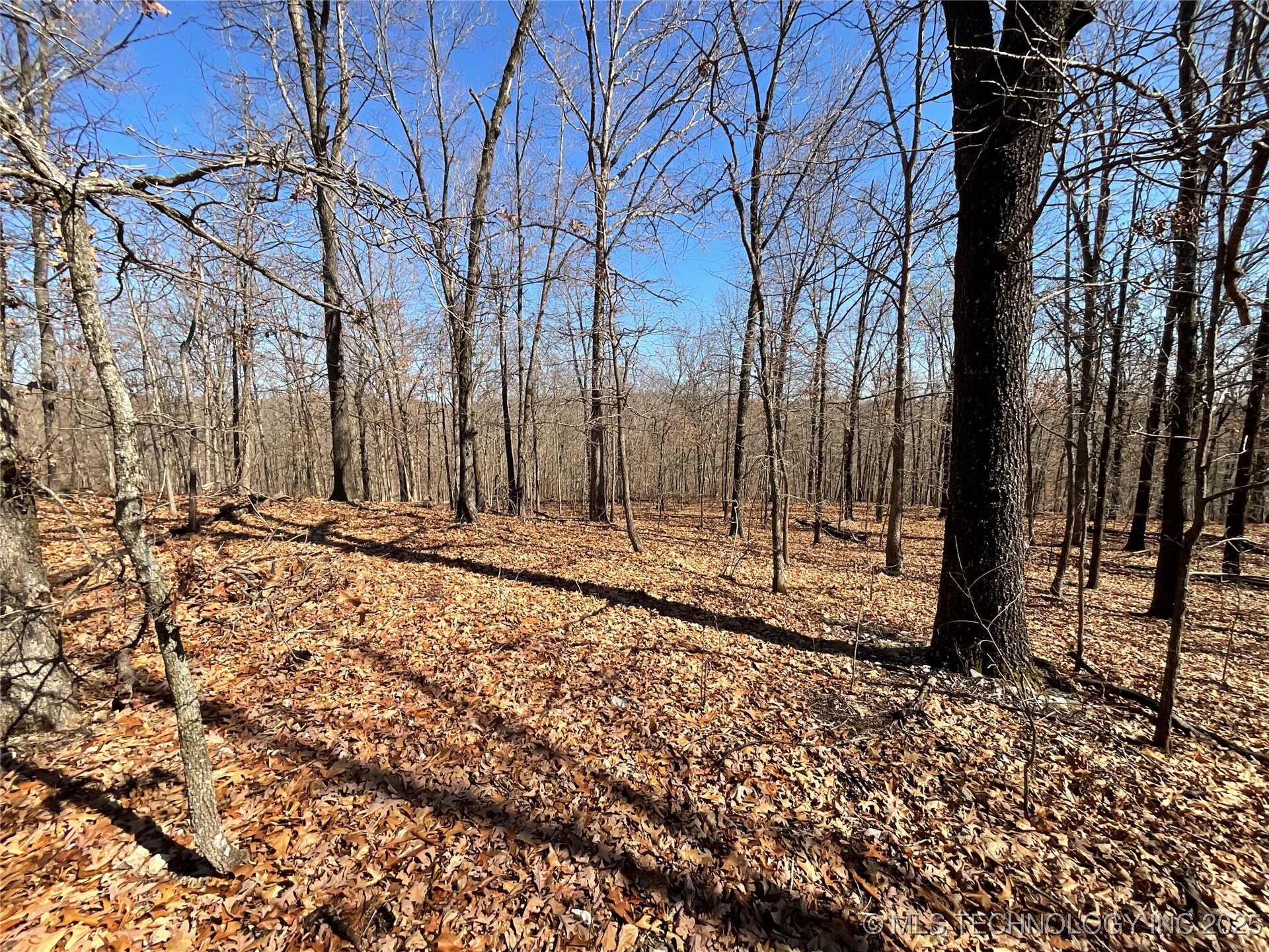 4595 Road Property Photo 9