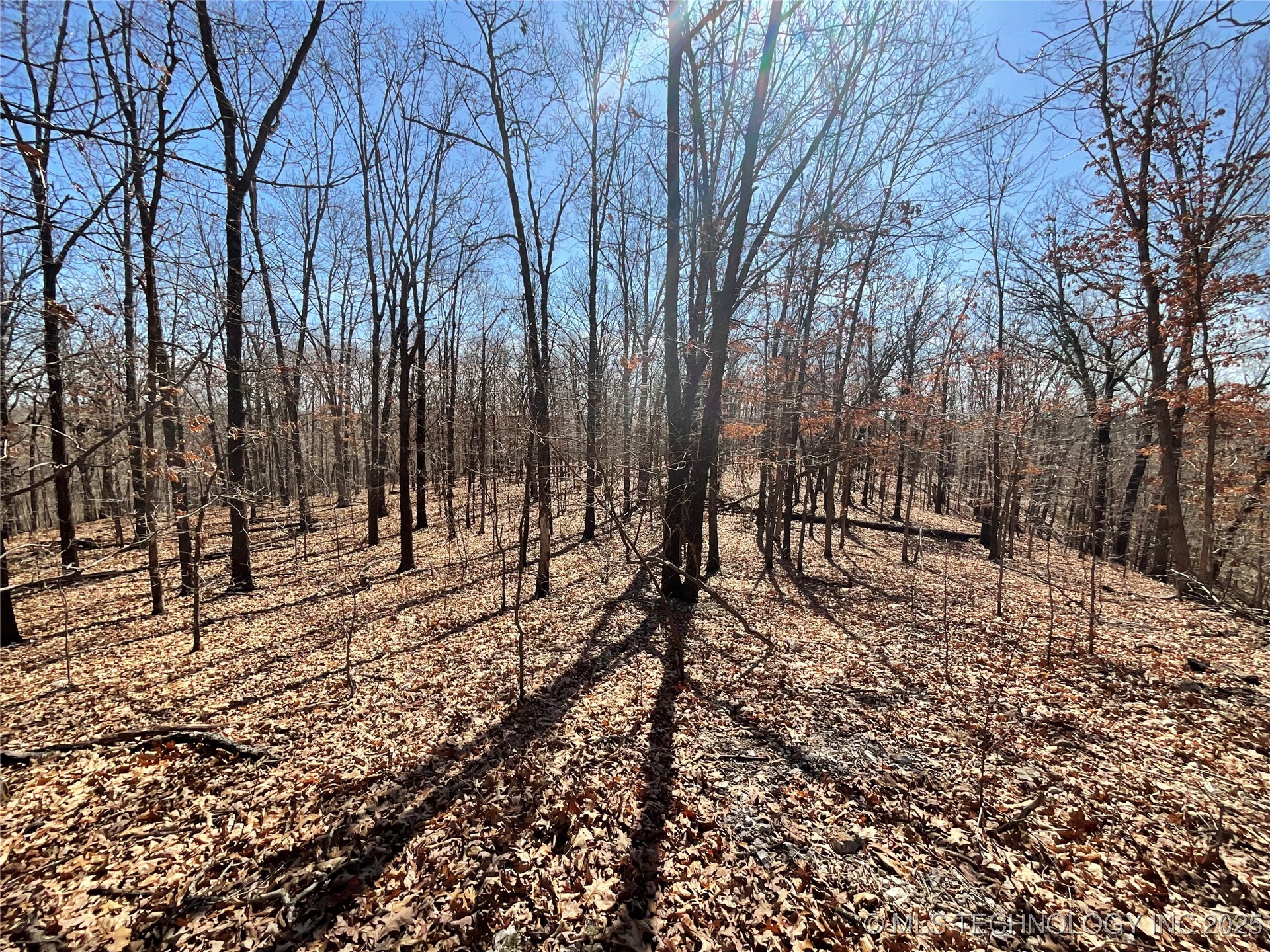 4595 Road Property Photo 10