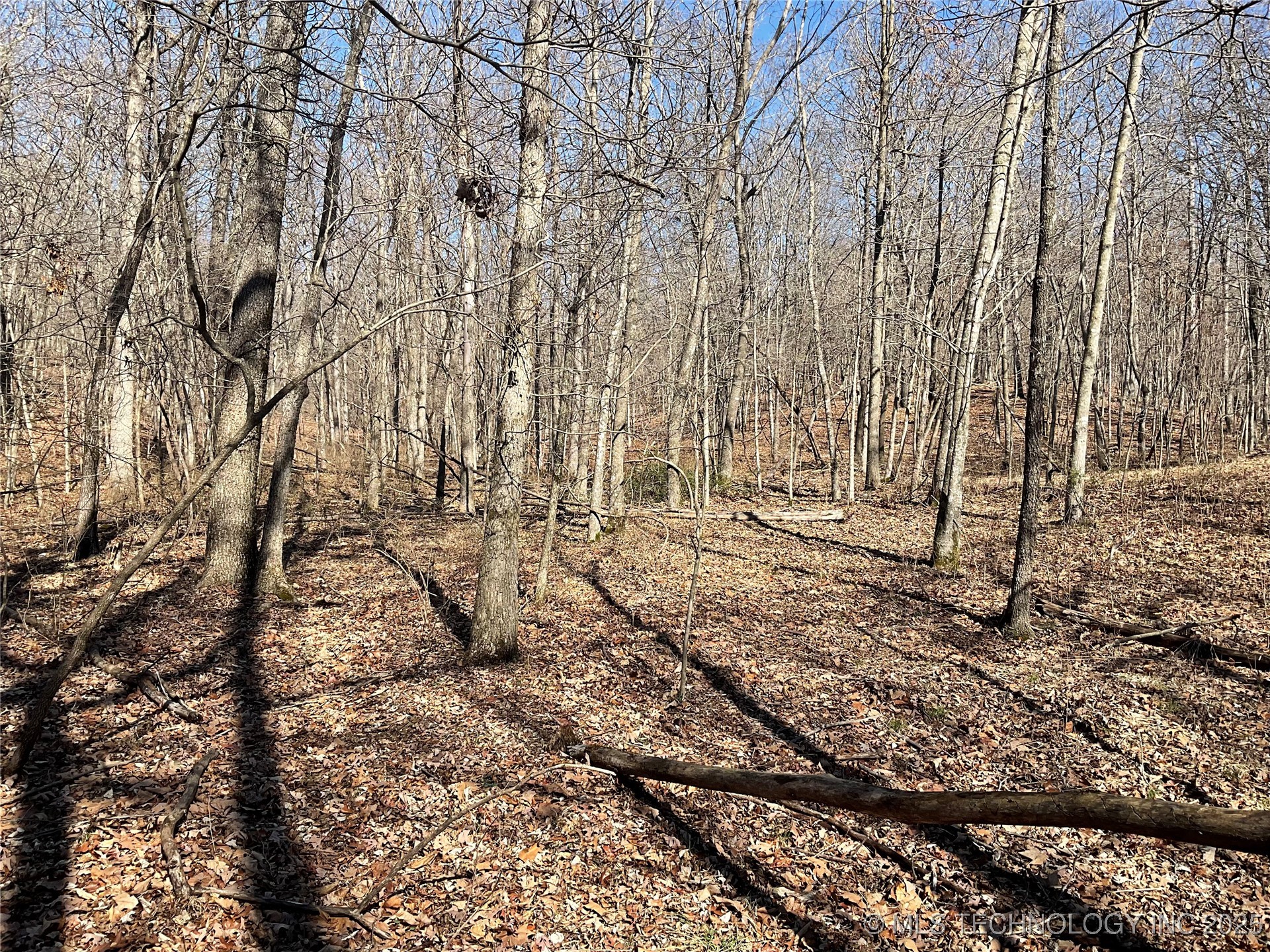4595 Road Property Photo 11