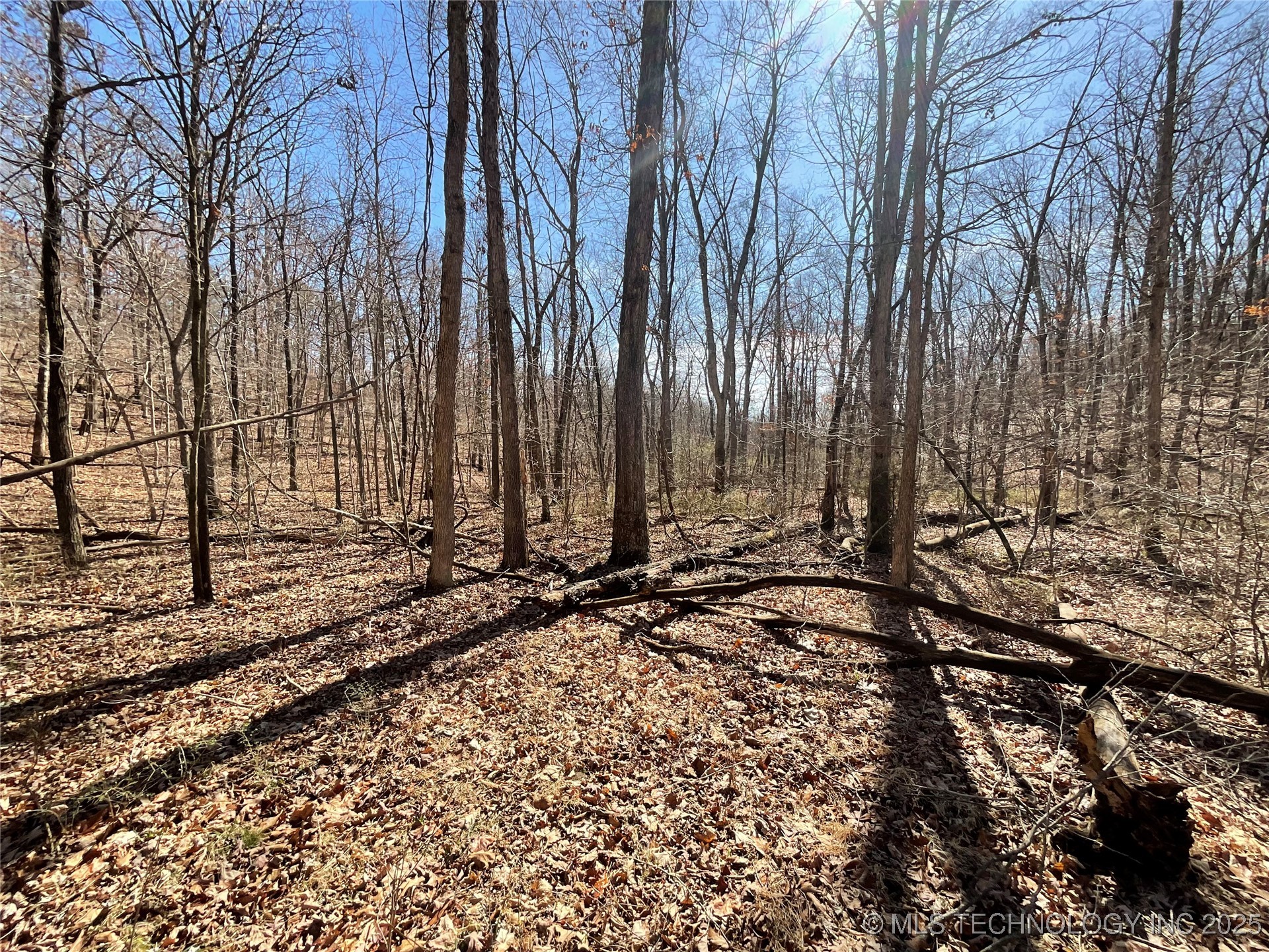 4595 Road Property Photo 12