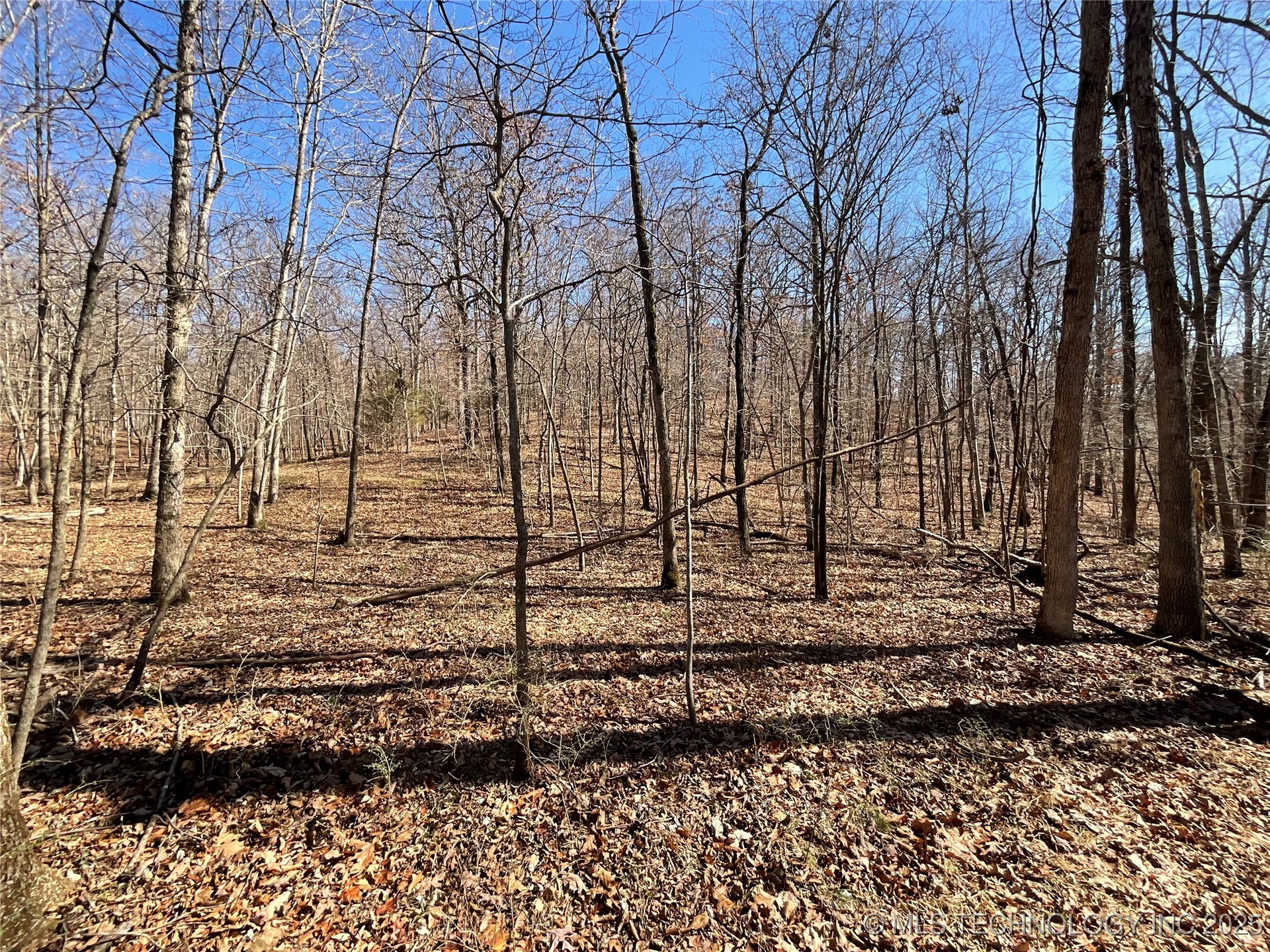 4595 Road Property Photo 13