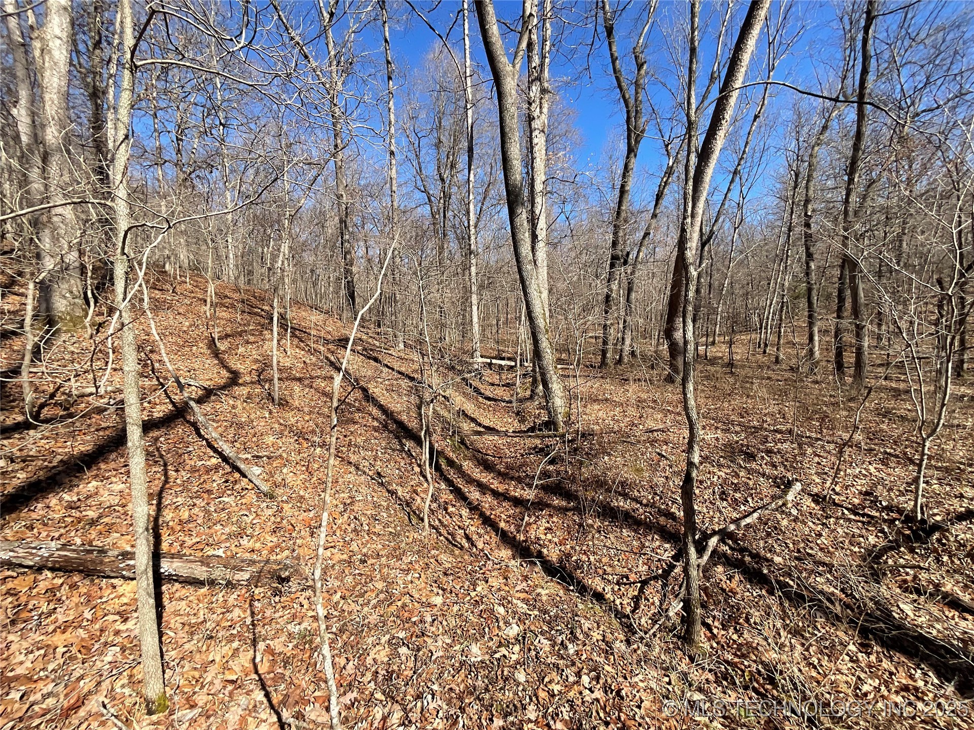 4595 Road Property Photo 14