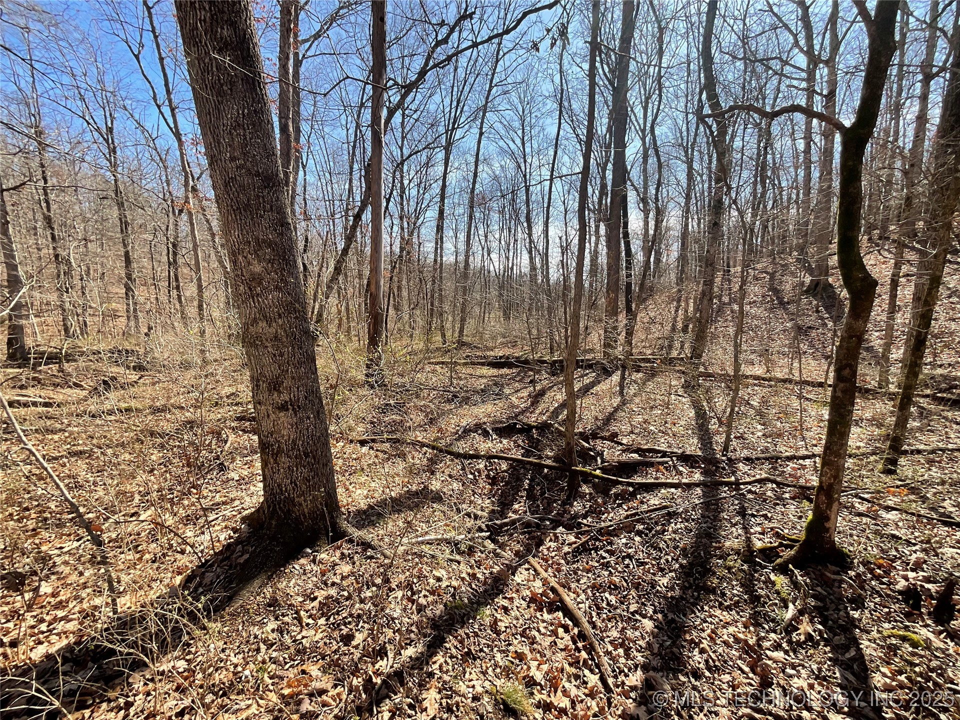 4595 Road Property Photo 15