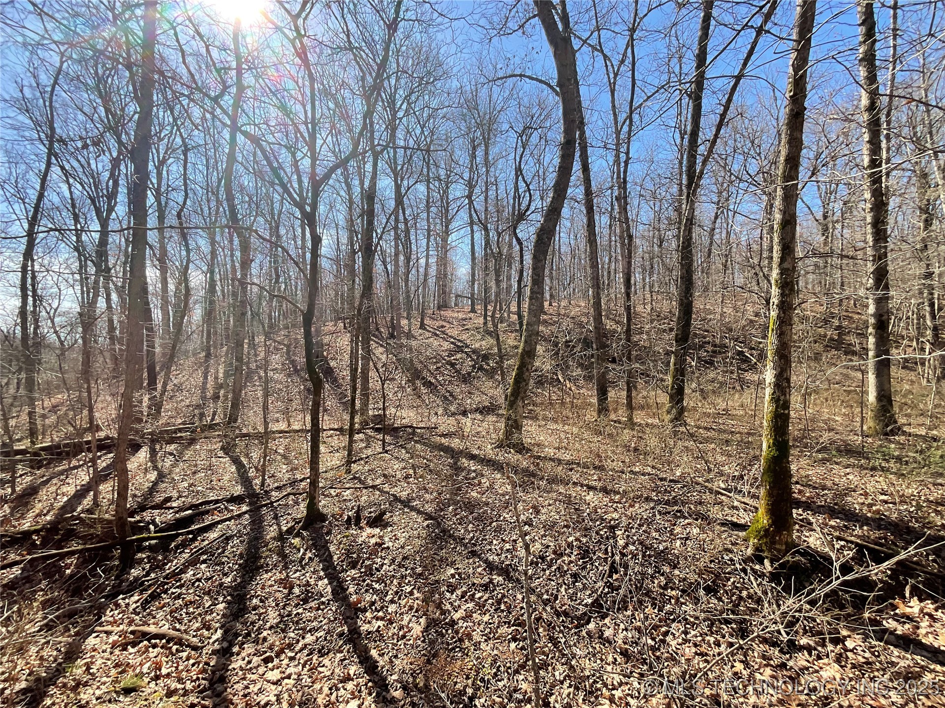 4595 Road Property Photo 16
