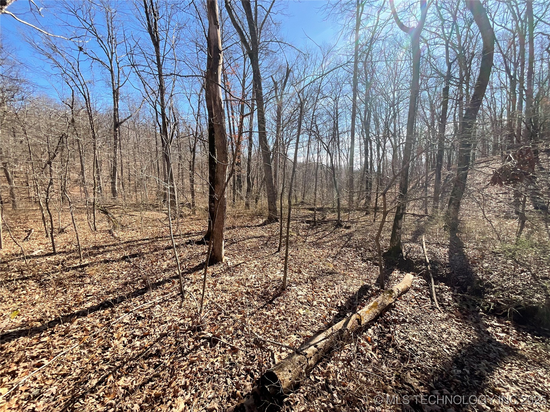 4595 Road Property Photo 17